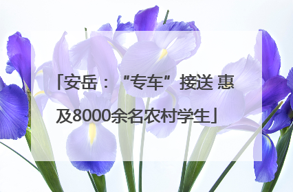 安岳：“专车”接送 惠及8000余名农村学生