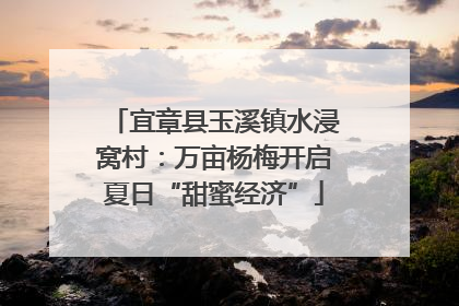 宜章县玉溪镇水浸窝村：万亩杨梅开启夏日“甜蜜经济”