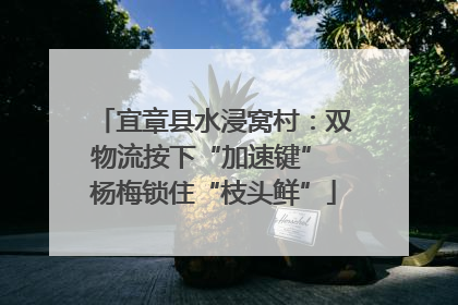 宜章县水浸窝村：双物流按下“加速键” 杨梅锁住“枝头鲜”