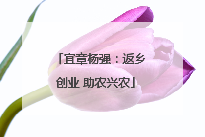 宜章杨强：返乡创业 助农兴农