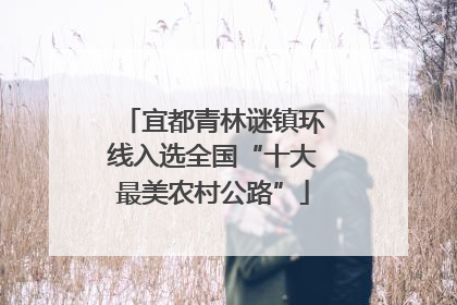宜都青林谜镇环线入选全国“十大最美农村公路”