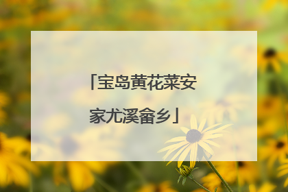 宝岛黄花菜安家尤溪畲乡