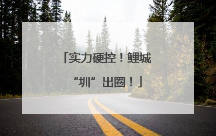 实力硬控！鲤城“圳”出圈！