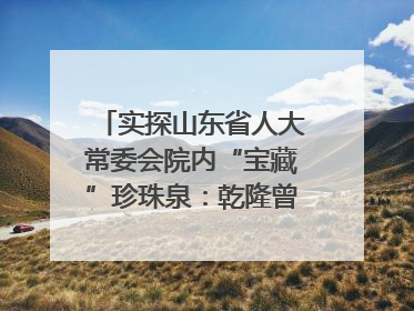 实探山东省人大常委会院内“宝藏”珍珠泉：乾隆曾为它题诗，游客无需预约免费游览