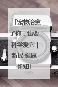 宠物治愈了你，也要科学爱它｜新民·健康新知