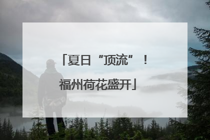 夏日“顶流”！福州荷花盛开