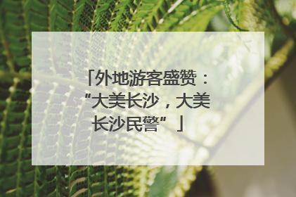 外地游客盛赞：“大美长沙，大美长沙民警”