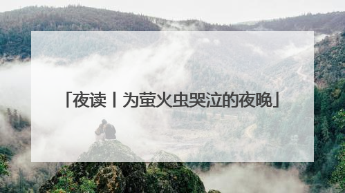 夜读丨为萤火虫哭泣的夜晚
