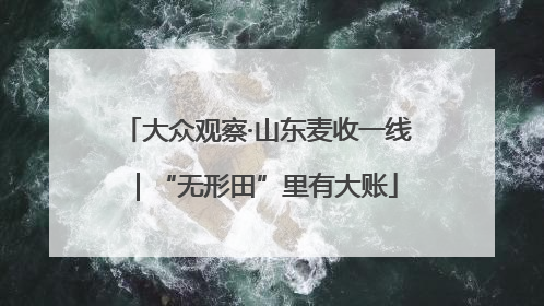 大众观察·山东麦收一线｜“无形田”里有大账