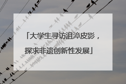 大学生寻访沮漳皮影，探求非遗创新性发展