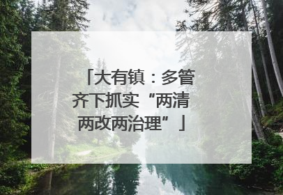 大有镇：多管齐下抓实“两清两改两治理”
