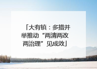 大有镇：多措并举推动“两清两改两治理”见成效