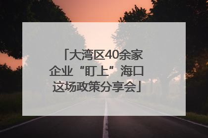 大湾区40余家企业“盯上”海口这场政策分享会