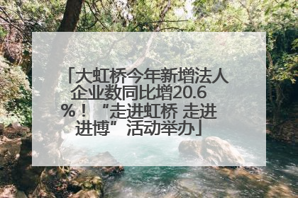 大虹桥今年新增法人企业数同比增20.6%！“走进虹桥 走进进博”活动举办