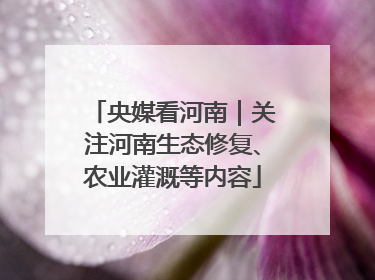 央媒看河南｜关注河南生态修复、农业灌溉等内容