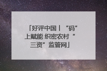 好评中国丨“码”上赋能 织密农村“三资”监管网