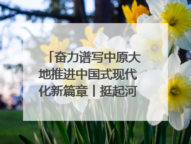 奋力谱写中原大地推进中国式现代化新篇章丨挺起河南制造硬脊梁