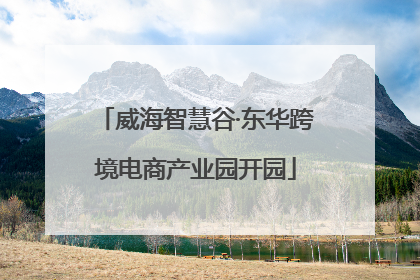 威海智慧谷·东华跨境电商产业园开园