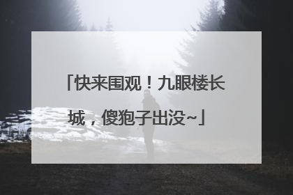 快来围观！九眼楼长城，傻狍子出没~