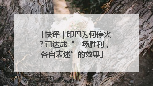 快评｜印巴为何停火？已达成“一场胜利，各自表述”的效果
