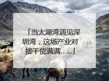 当太湖湾遇见深圳湾，这场产业对接干货满满……