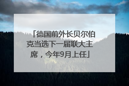德国前外长贝尔伯克当选下一届联大主席，今年9月上任