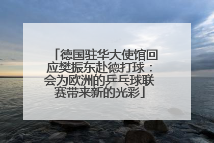 德国驻华大使馆回应樊振东赴德打球：会为欧洲的乒乓球联赛带来新的光彩