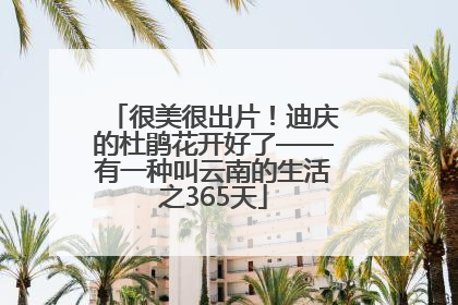 很美很出片！迪庆的杜鹃花开好了——有一种叫云南的生活之365天