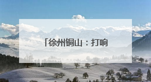 徐州铜山：打响区域品牌，助力“杏”福经济