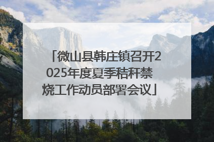微山县韩庄镇召开2025年度夏季秸秆禁烧工作动员部署会议
