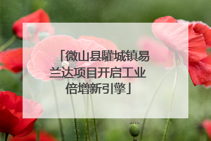 微山县驩城镇易兰达项目开启工业倍增新引擎