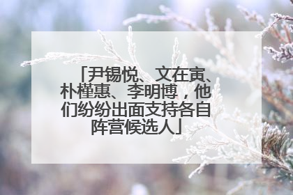 尹锡悦、文在寅、朴槿惠、李明博，他们纷纷出面支持各自阵营候选人
