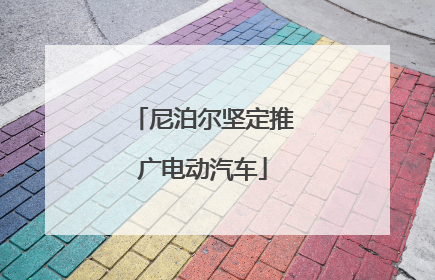 尼泊尔坚定推广电动汽车