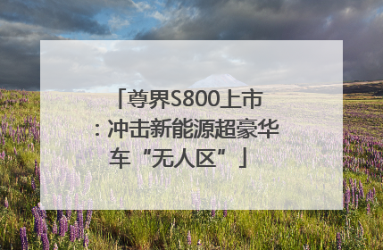 尊界S800上市：冲击新能源超豪华车“无人区”