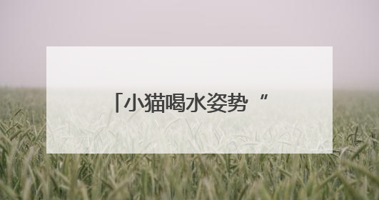 小猫喝水姿势“撞脸”三星堆文物？经求证该文物并非来自三星堆
