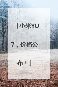 小米YU7，价格公布！