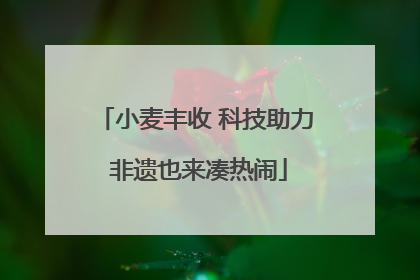 小麦丰收 科技助力 非遗也来凑热闹