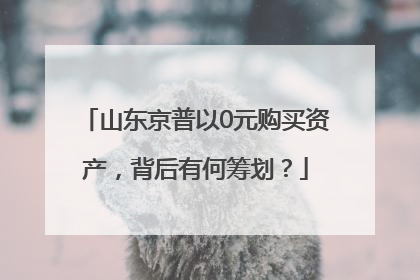 山东京普以0元购买资产，背后有何筹划？