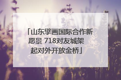 山东擘画国际合作新愿景 718对友城架起对外开放金桥
