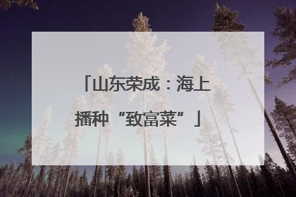 山东荣成：海上播种“致富菜”