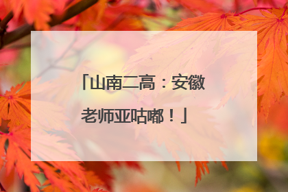 山南二高：安徽老师亚咕嘟！