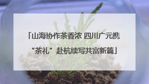山海协作茶香浓 四川广元携“茶礼”赴杭续写共富新篇