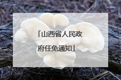 山西省人民政府任免通知