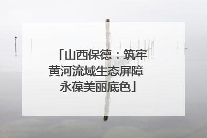 山西保德：筑牢黄河流域生态屏障 永葆美丽底色