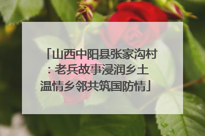 山西中阳县张家沟村：老兵故事浸润乡土 温情乡邻共筑国防情