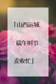 山西运城：端午时节麦收忙