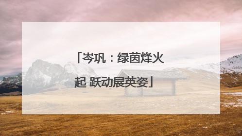 岑巩:绿茵烽火起 跃动展英姿
