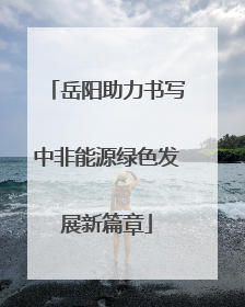 岳阳助力书写中非能源绿色发展新篇章
