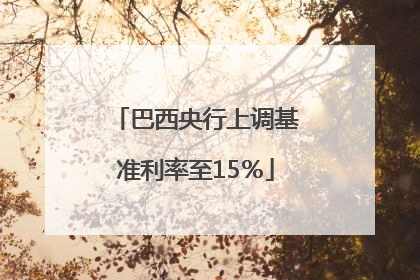 巴西央行上调基准利率至15％