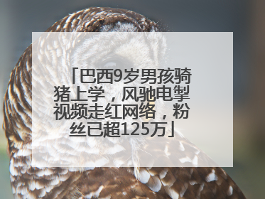 巴西9岁男孩骑猪上学，风驰电掣视频走红网络，粉丝已超125万